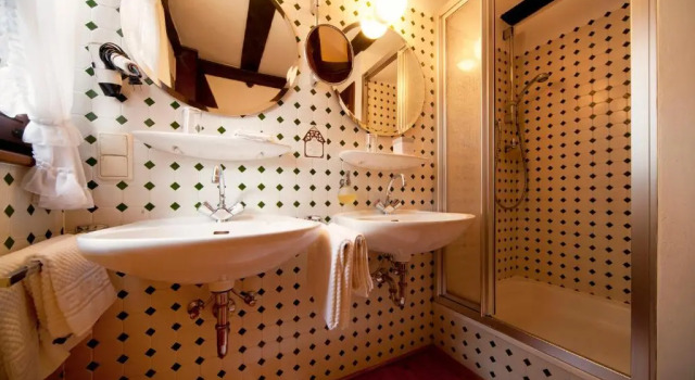 Одноместный номер Standard Romantik Hotel Alte Vogtei