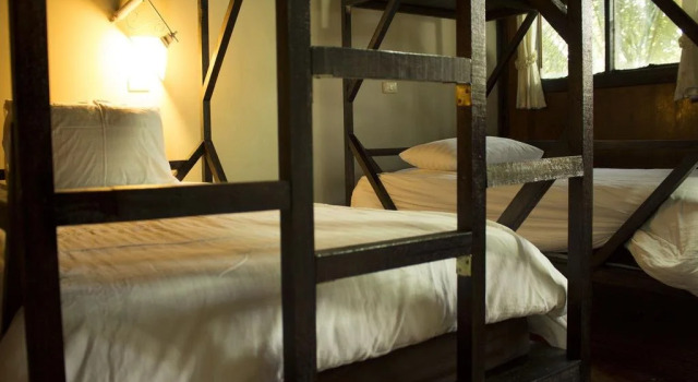 Jungle Gym & Eco Lodge - Hostel
