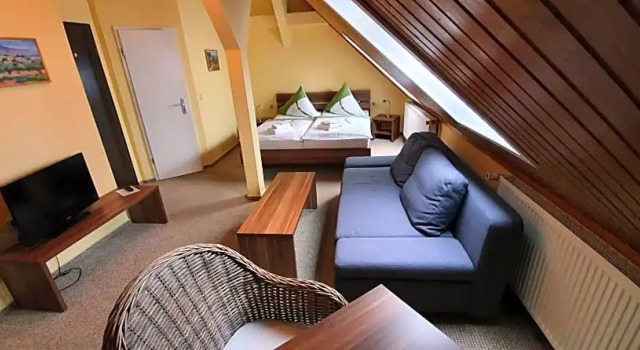 Номер Economy Restaurant & Hotel Olive