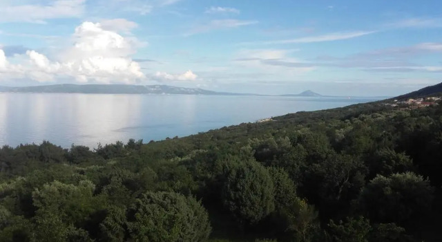 Corry 1, Book Hotel Ravni Istria