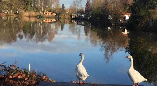 Шале Vakantiehuisje De Waterhoek