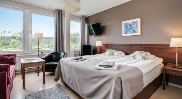 Двухместный номер Standard Hotel Sollefteå