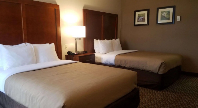 Четырёхместный номер Standard Comfort Inn Airport