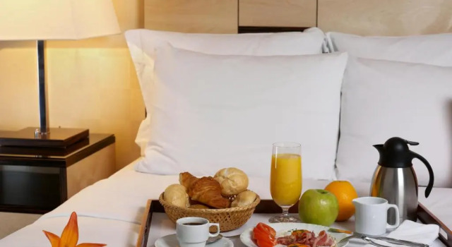Habitación doble De lujo Plaza Inn Hotel