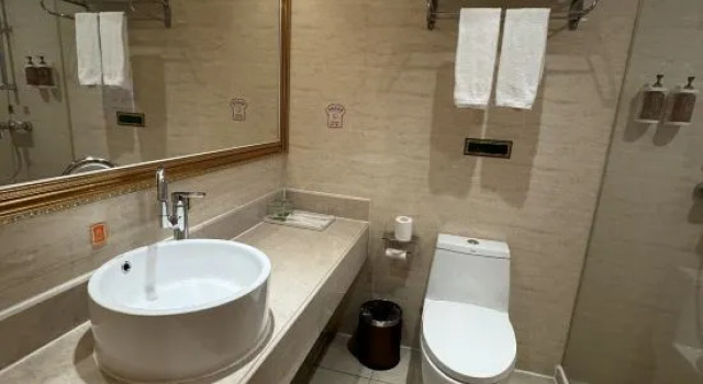 Люкс Vienna International Hotel Shenzhen Fuyong Exhibition Center Branch