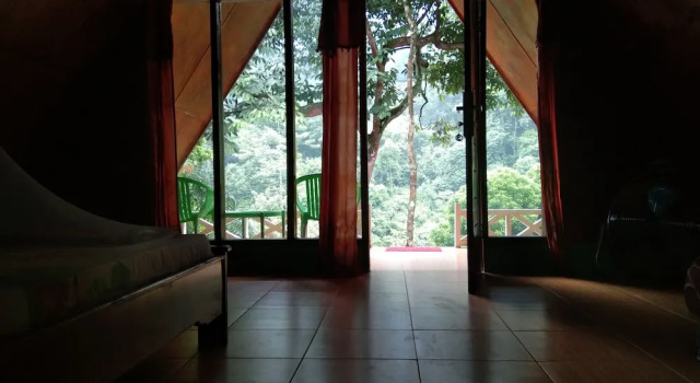 Номер Superior Green Forest Tangkahan