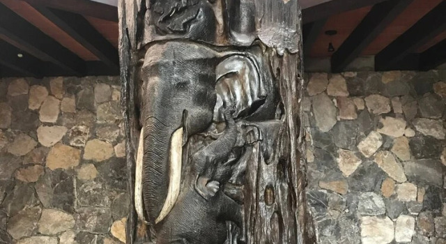 Quinta Joselito in Cuernavaca, Varaa Lomakoti Hotellit Tres de Mayo uima-altaalla, Uima-allas