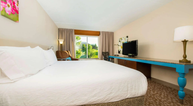 Двухместный номер Standard Hilton Garden Inn Charlottesville
