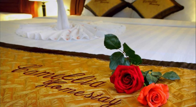 Номер Deluxe Camellia Homestay