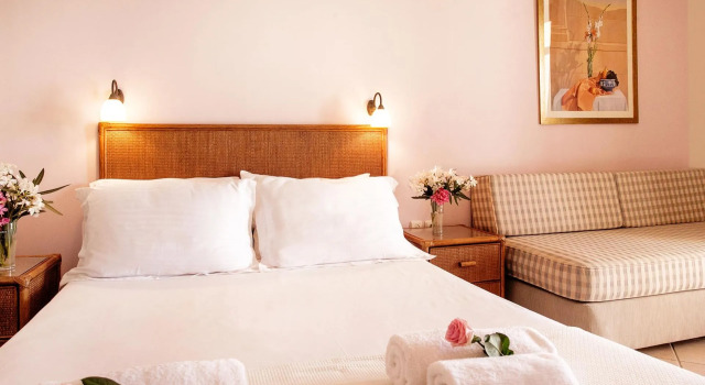 Двухместный номер Standard с видом на море Hotel Paralio