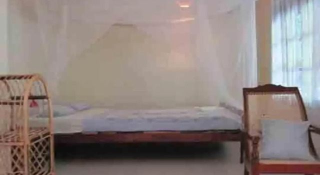 Двухместный люкс с балконом и с видом на сад Jungleside House