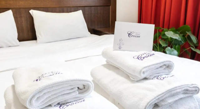 Двухместный номер Standard Hotel Crocus