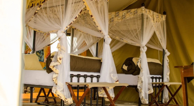 Ngorongoro Tented Camp, 预订 酒店 阿鲁沙 坦桑尼亚