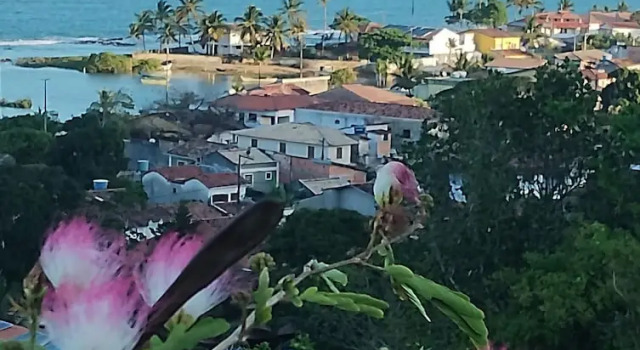 Номер Standard Pousada Tropicália Tranquilidade a Beira Mar