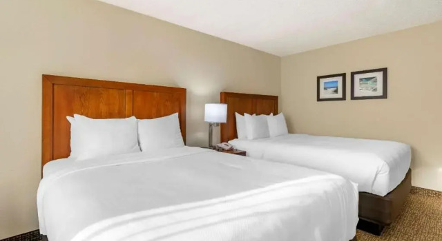Четырёхместный люкс c 1 комнатой Comfort Inn & Suites St Pete - Clearwater International Airport