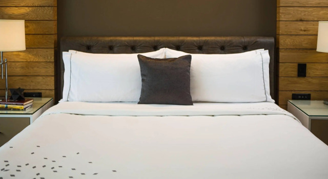 Двухместный номер Standard Renaissance Allentown Hotel