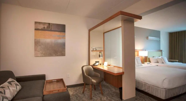 Dobbelt etværelseslejlighed SpringHill Suites Athens