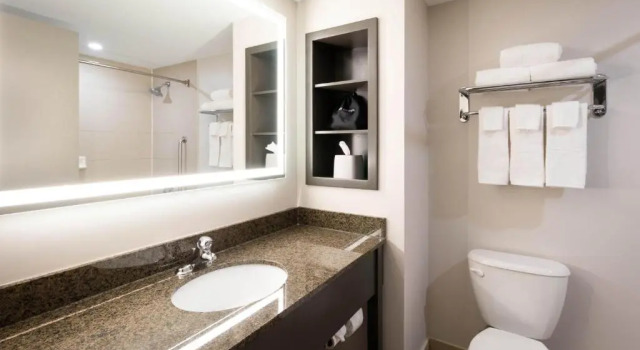 Номер Standard Holiday Inn Express Kingston Central by IHG