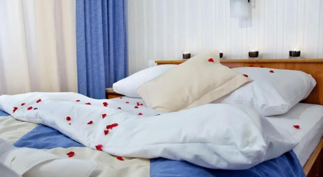 Двухместный номер Standard Vistula Hotel