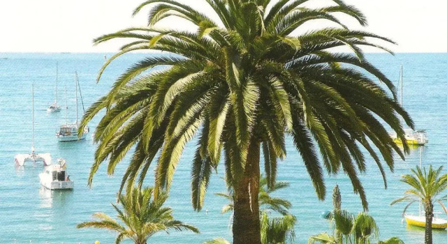 Студия STUDIO CLIMATISE. Proche parking, commerces et mer