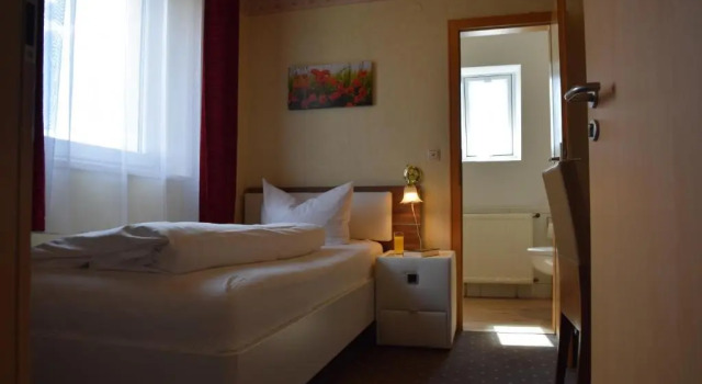 Одноместный номер Standard Landhotel Steigerwaldhaus
