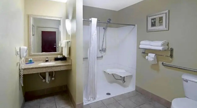 Четырёхместный люкс Comfort Suites Mobile-South Alabama University Area