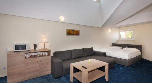 Студия Tauras Center Hotel