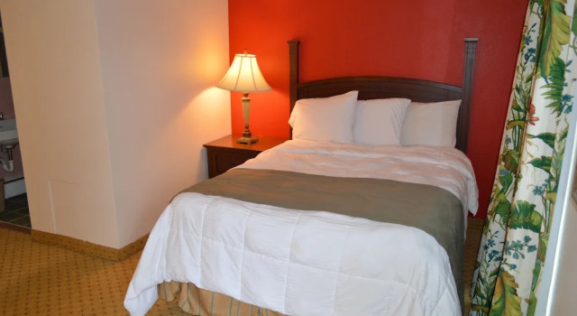 Номер Standard Monnie Lynn Motel