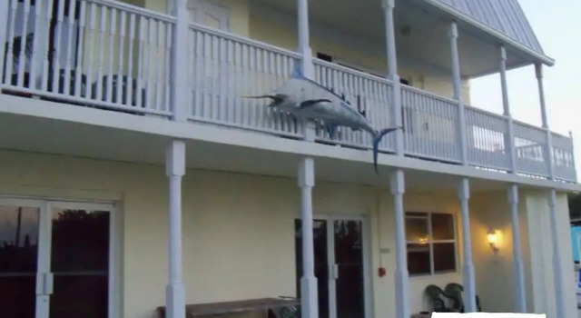 Tarpon Flats Inn & Marina, Rezerwuj Hotel Hotele w Key Largo z parkingiem, Parking