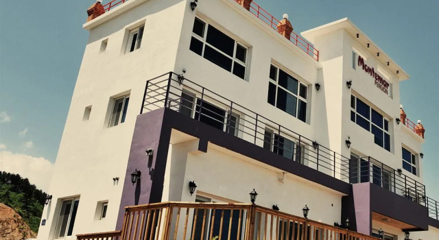 Yangyang Monti Pet Spa Pension