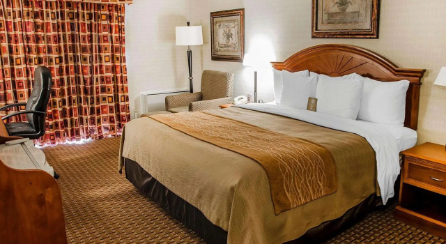 Двухместный номер Business Spark By Hilton Toronto Markham