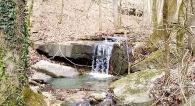 Loblolly Pines Adventure Cabin 4 King, Забронировать Отель Отели Northwest Arkansas с парковкой, Парковка