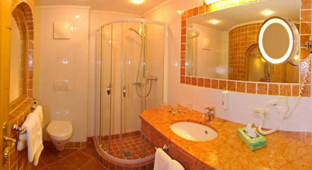 Номер Standard Vitalhotel Sonnenhof