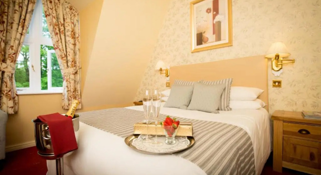 Двухместный номер Standard Glen-Yr-Afon House Hotel