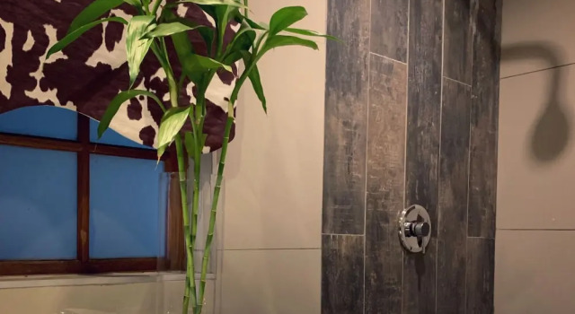 Двухместный люкс Standard Little Eden Guest Lodge