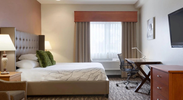 Номер Deluxe Best Western PLUS Peppertree Airport Inn