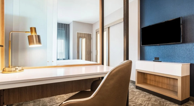 Люкс SpringHill Suites By Marriott Charleston Airport & Convention Center