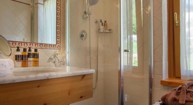 Двухместный номер Standard Boutique Hotel e Chalets Salvadori