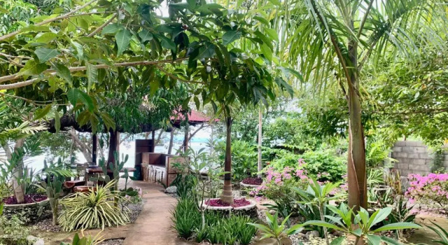 Четырёхместный номер Standard с видом на море Adayo Cove Resort