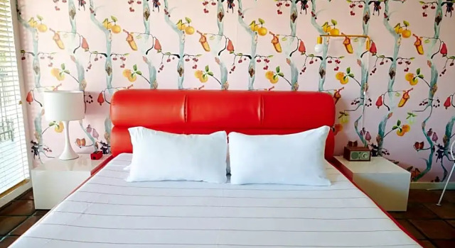 Двухместный номер Standard с видом на бассейн Austin Motel