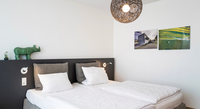 Двухместный номер Comfort с балконом Das Eckert - Lifestyle Design Hotel & Fine Dining bei Basel