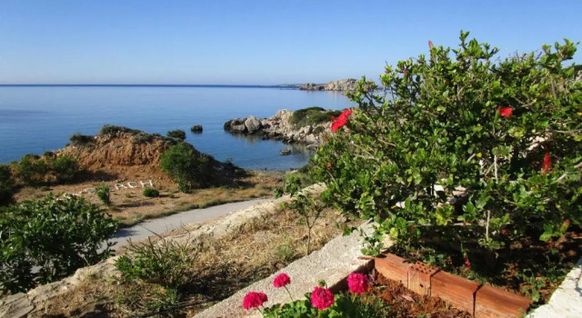 Студия Studios Fokia Beach