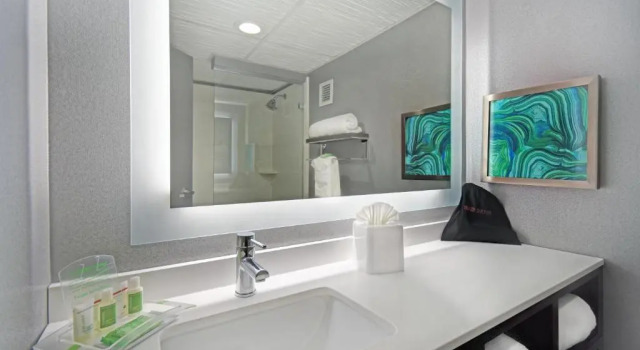 Четырёхместный номер Standard с видом на город Holiday Inn - Memphis Downtown - Beale St. by IHG