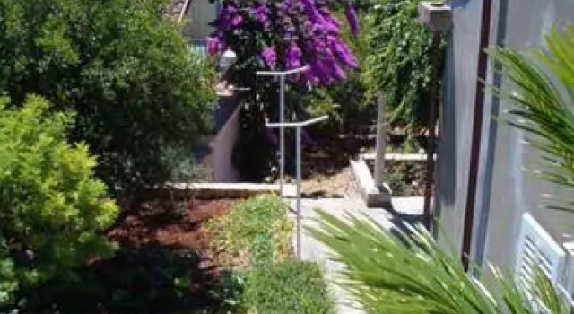 Apartments Roza