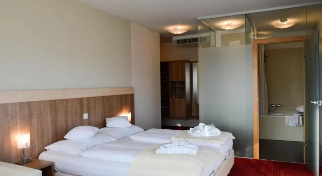 Номер Deluxe Hotel Römerhof