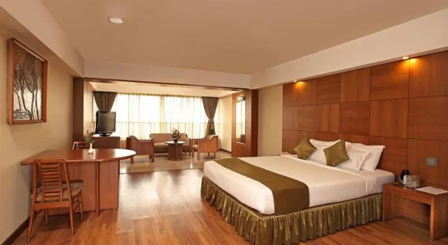 Двухместный номер Executive Hotel Aurora Towers