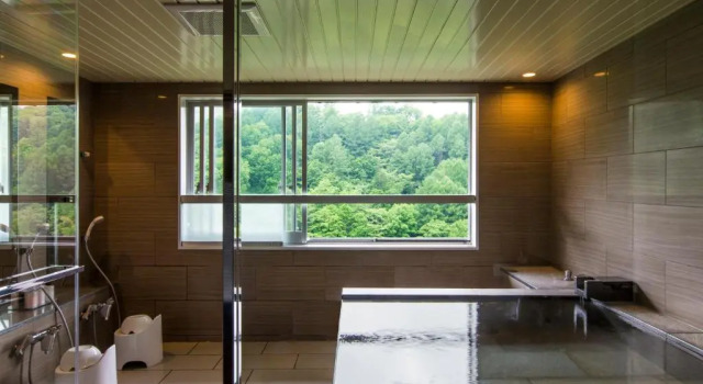 Номер Executive Midorinokaze Resort Kitayuzawa