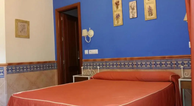 Двухместный номер Standard Pension Doña Trinidad