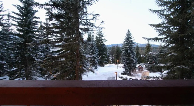 Апартаменты Villas Snowberry by Whistler Retreats