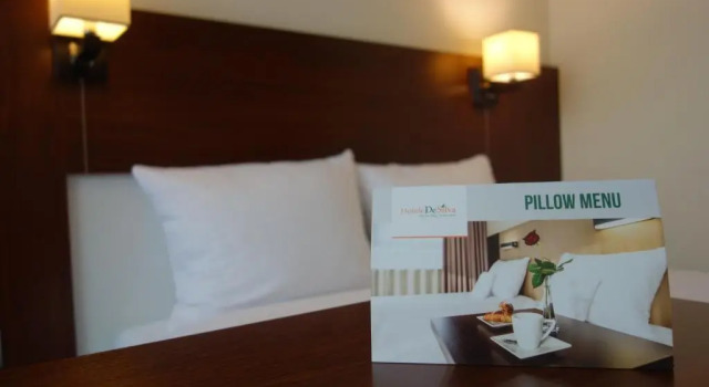 Одноместный номер Standard Desilva Inn Katowice Airport